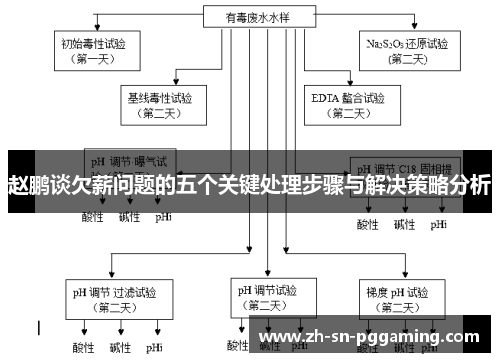 赵鹏谈欠薪问题的五个关键处理步骤与解决策略分析
