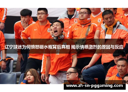 辽宁球迷为何愤怒砸水瓶背后真相 揭示情感激烈的原因与反应