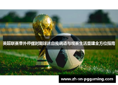 英超联赛意外停摆时期球迷自我调适与观赛生活重建全方位指南 英超联赛意外停摆时期球迷自我调适与观赛生活重建全方位指南