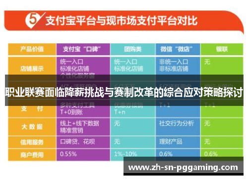 职业联赛面临降薪挑战与赛制改革的综合应对策略探讨