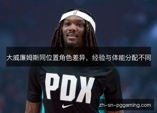 大威廉姆斯同位置角色差异，经验与体能分配不同